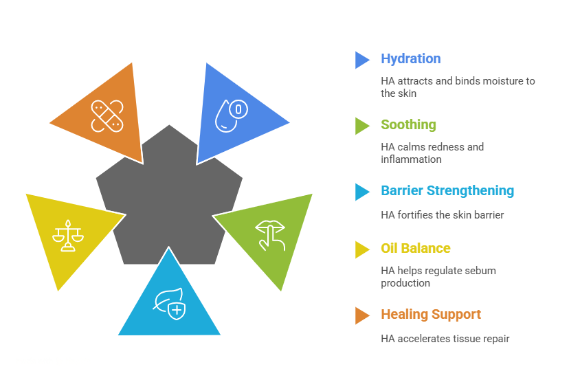 Benefits of HA for Acne Skin